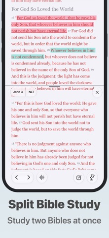 Bible - Companion Screenshot 3 of 7