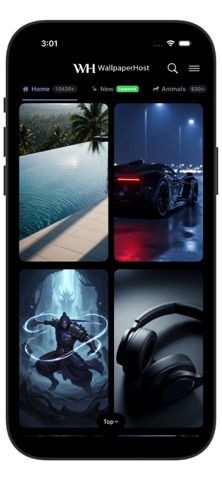 WallpaperHost: 4K Wallpapers Screenshot 2 of 4
