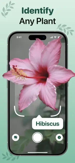 Plant ID: Identifier & Care screenshot 1