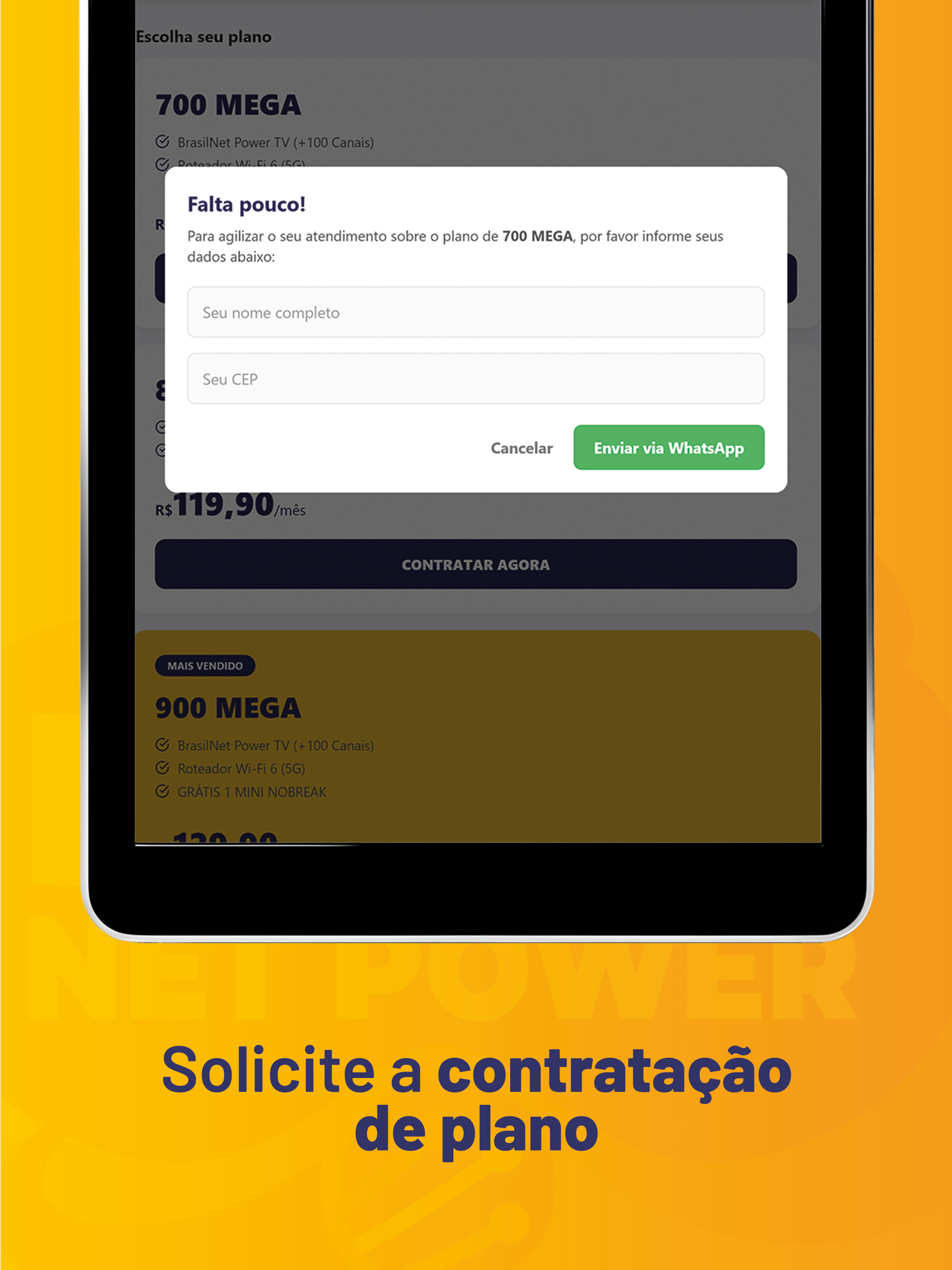 BRASIL NET POWER screenshot 7