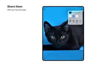 Images Extension iPad screenshot