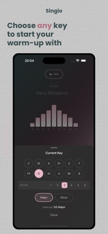 Singio: Vocal Phrase Trainer screenshot