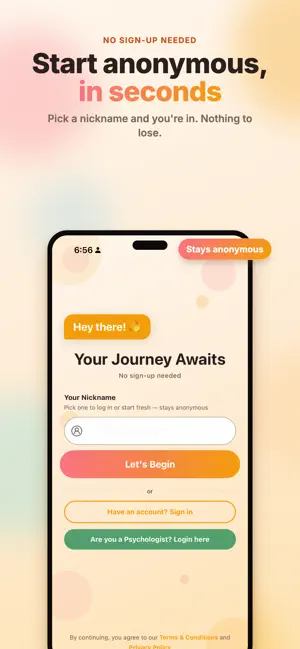 Anshap screenshot 2