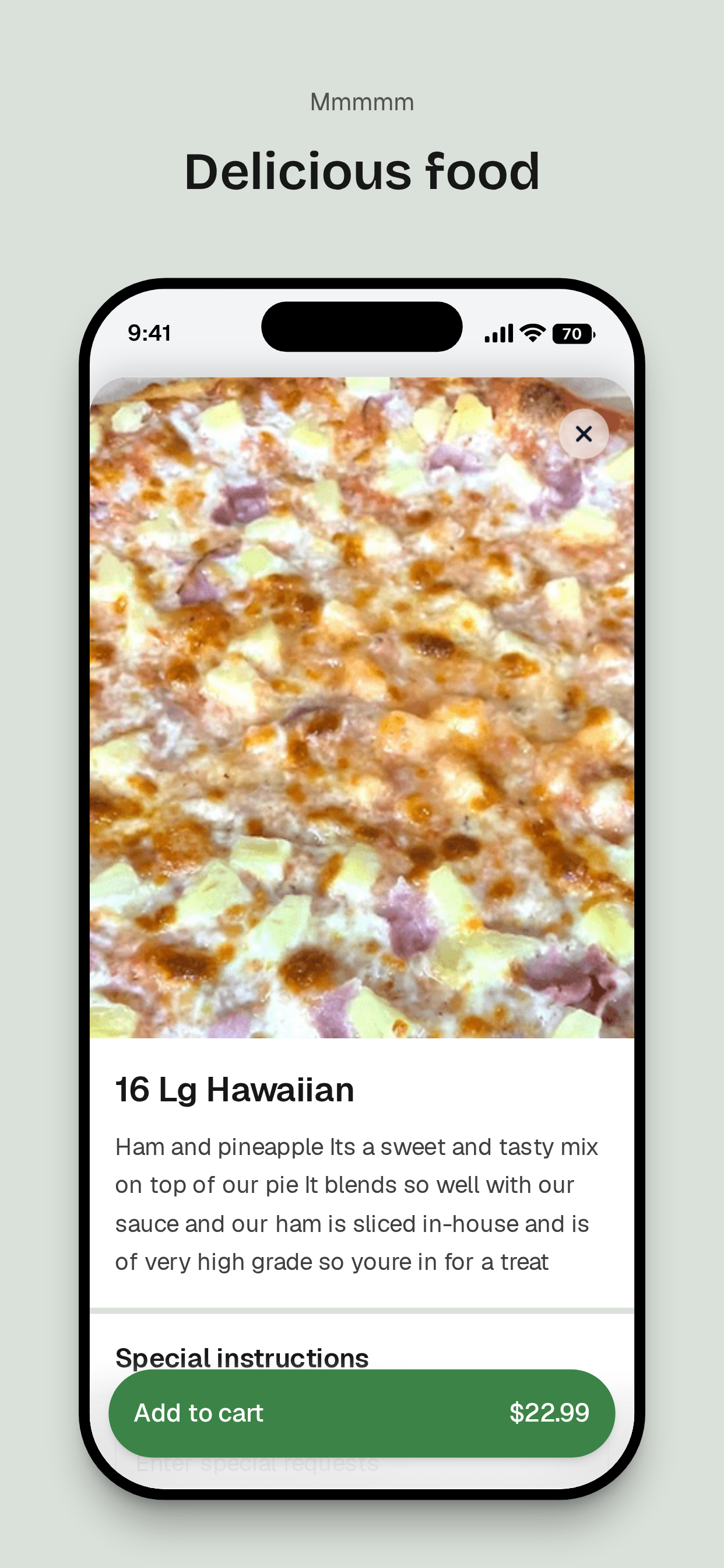 Hawkeyes Pizza