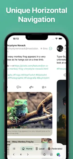 Pipilo screenshot 1