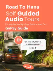 road to hana maui gypsy guide ipad images 1
