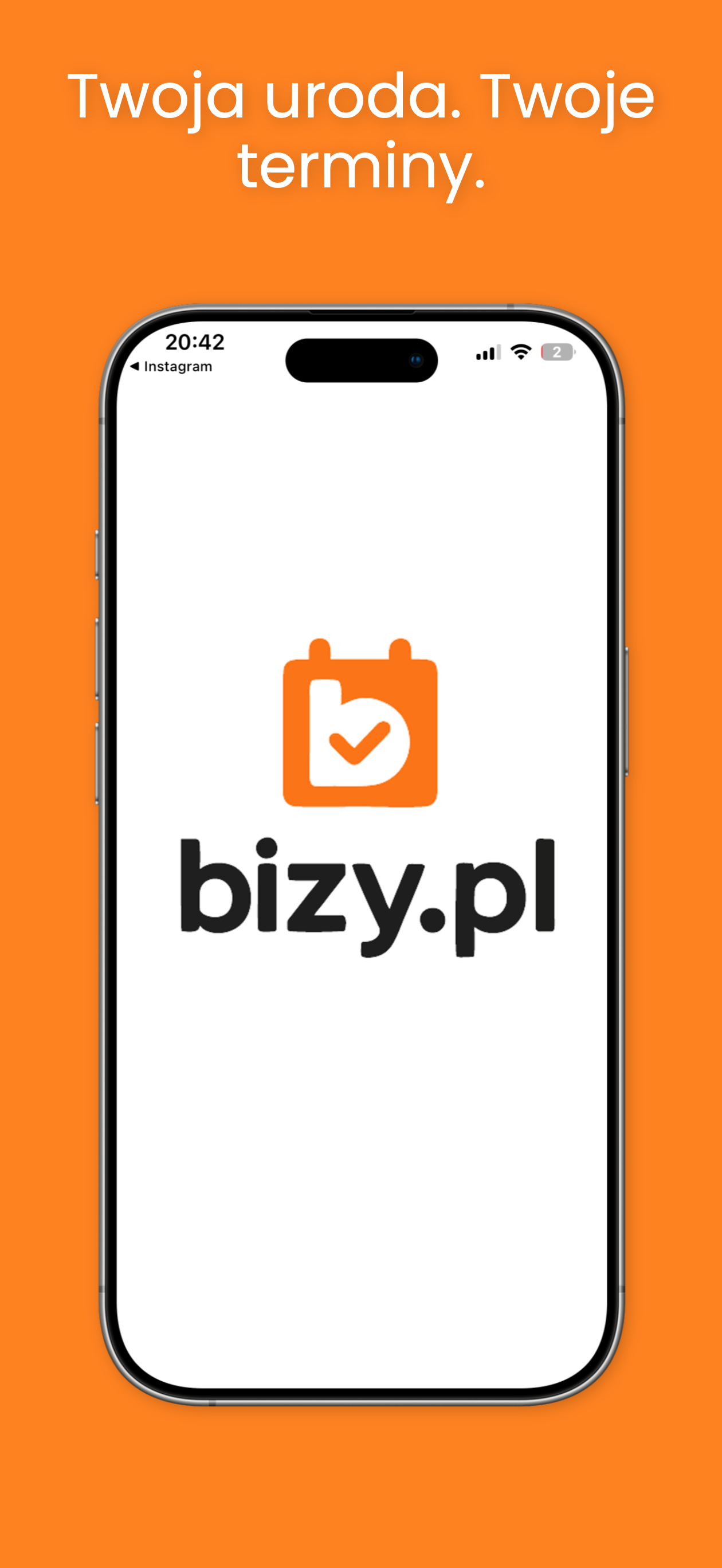 bizy.pl
