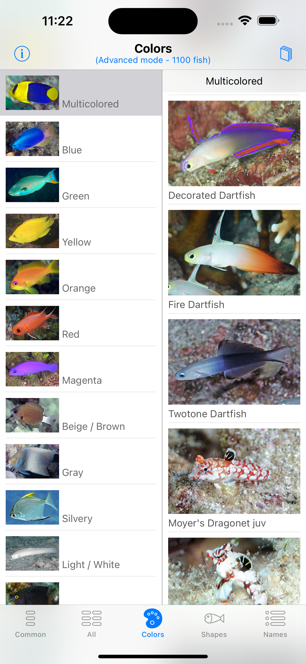 Philippines Fish ID