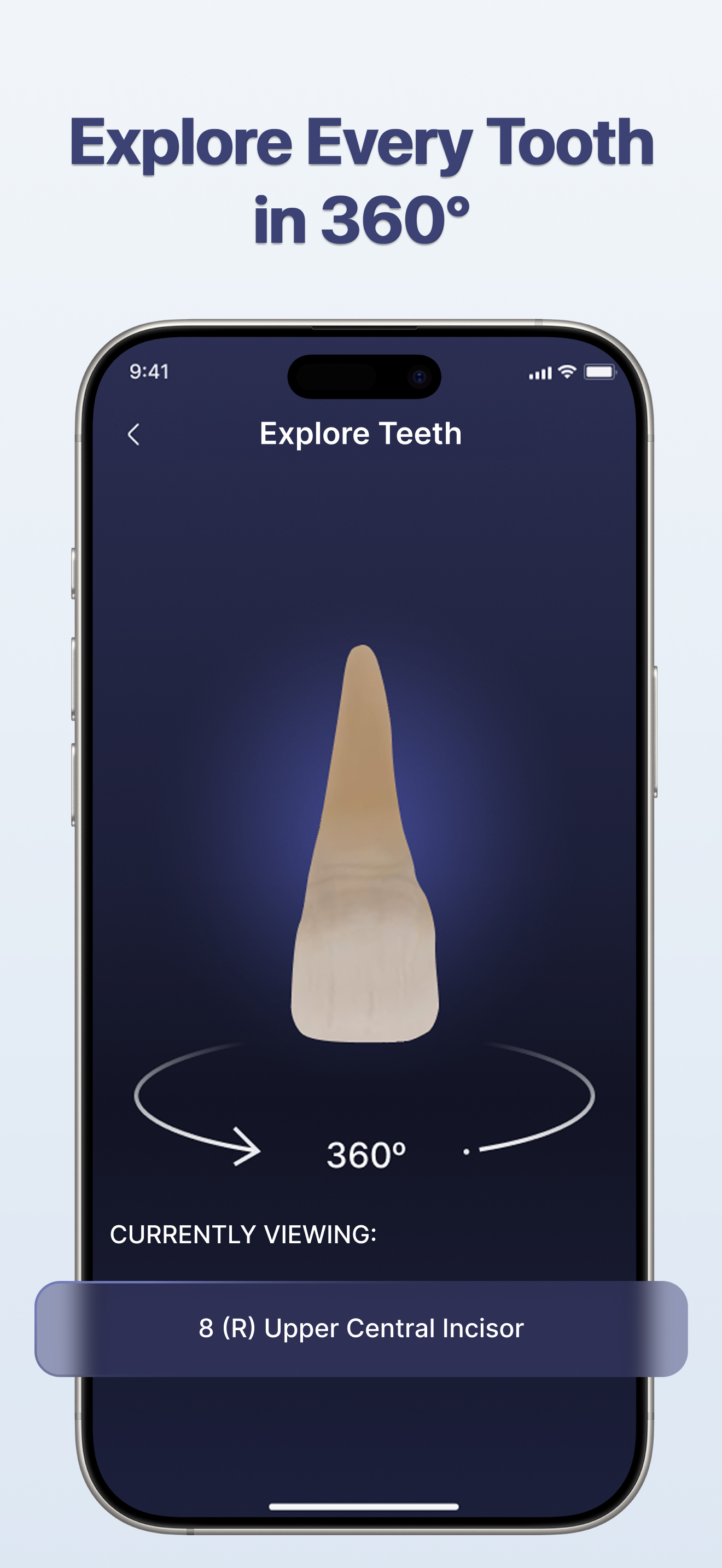 DentaCore: 3D Dental Anatomy