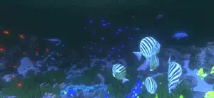 Coral Reef HD video #1 for iPhone