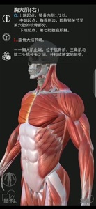 Artist's Anatomy video #1 for iPhone