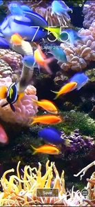 Aquarium Dynamic Wallpapers video #1 for iPhone