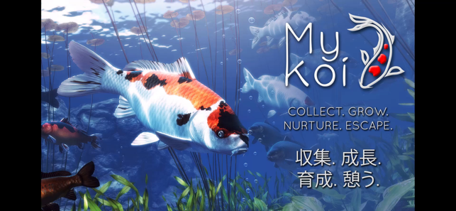 ‎My Koi Screenshot