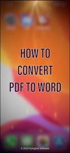 PDF to Word video #1 for iPhone