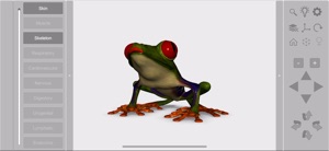 3D Frog Skeleton video #1 for iPhone