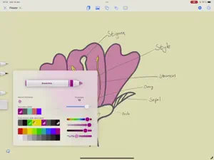 Mindsketch – Big Notes video #1 for iPad