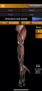 Muscular System 3D (anatomy) video #1 for iPhone