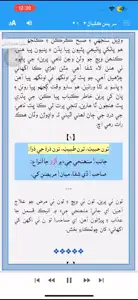 Shah Jo Risalo Multilingual video #1 for iPhone