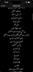 Sufi Poetry Saif ul Malook video #2 for iPhone