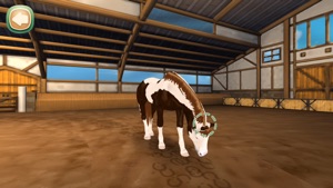 HorseHotel Premium video #1 for iPhone