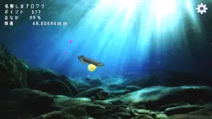 Arowana raising from fry video #1 for iPhone