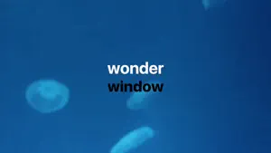 Wonder Window video #1 for Apple TV