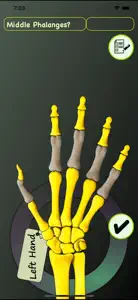 Hand Bones: Speed Anatomy Quiz video #1 for iPhone