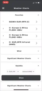 WilCo - Pilot Aviation Weather video #2 for iPhone