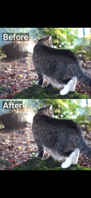 ‎Deshake Video - Stabilization Screenshot