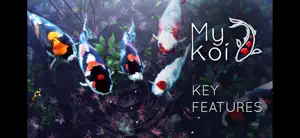 My Koi video #2 for iPhone