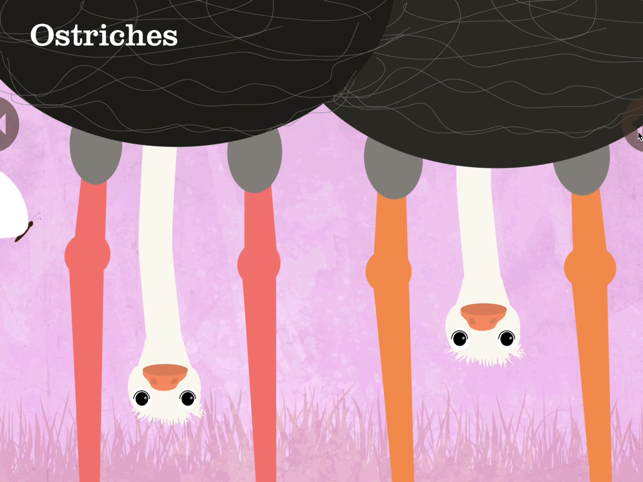 ‎Animals Sounds: Peek-a-Zoo Screenshot