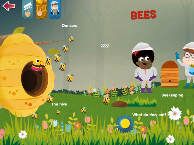 ‎The Bugs I: Insects? Screenshot