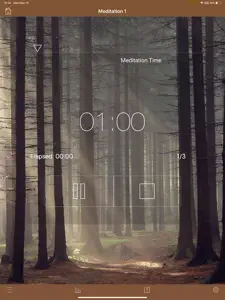 Meditation Timer Pro for iPad video #2 for iPad