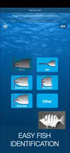 iDfish video #1 for iPhone