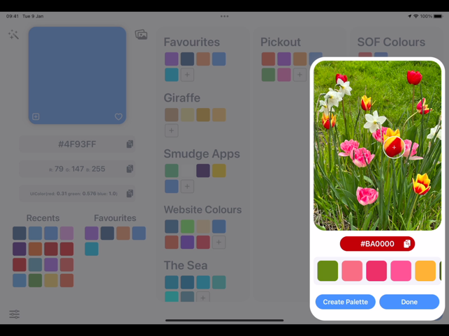 ‎Developer Colour Palette Screenshot