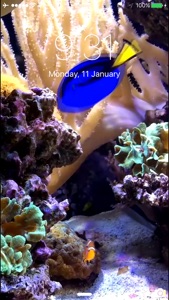 Aquarium Dynamic Wallpapers+ video #1 for iPhone