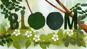 Bloom by Megalearn video #1 for iPhone