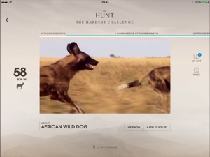The Hunt - BBC Earth - Natural History Interactive TV Series video #1 for iPad