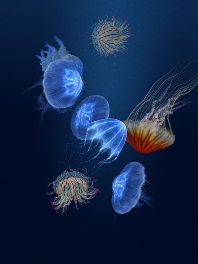 ‎Jellyfish Heaven HD Screenshot