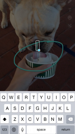 ‎Annotate - Text, Emoji, Stickers and Shapes on Photos and Screenshots Screenshot