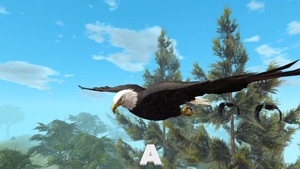 Ultimate Bird Simulator video #1 for iPhone