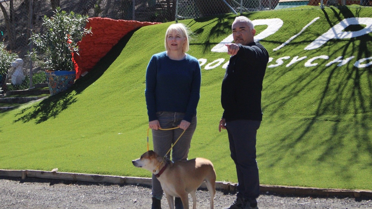 Avocado Aggression Cesar Millan Better Human Better Dog (Series 2