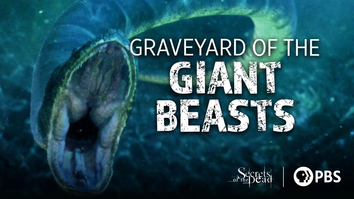 ‎Graveyard of the Giant Beasts - Apple TV