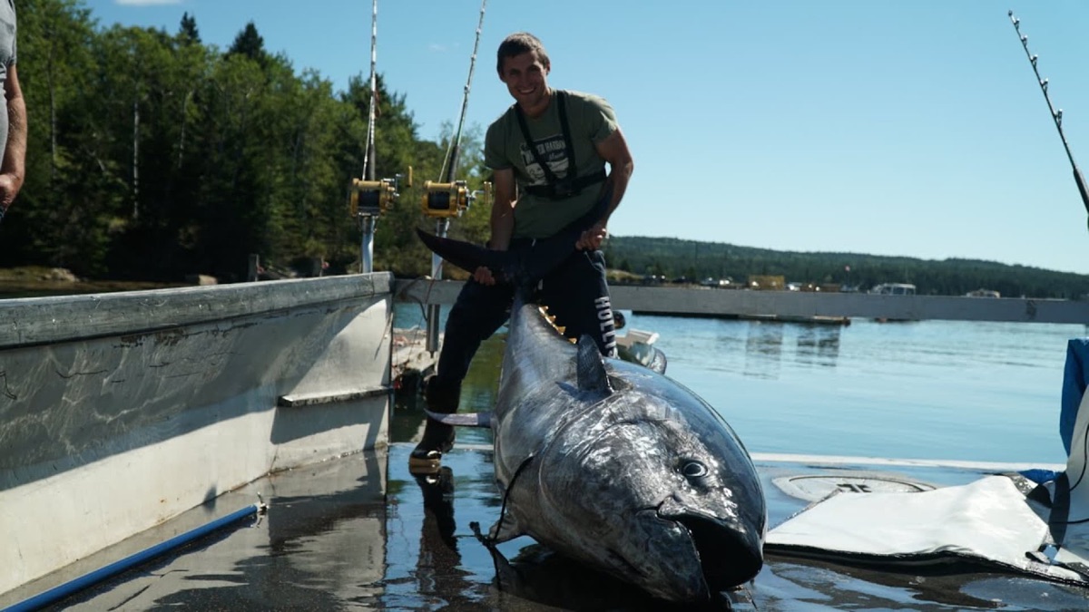 ‎Massive 9 Foot Tuna! I'm Speechless.. - Jacob Knowles (Series 1 ...