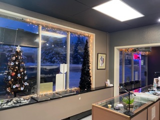 Body Piercing Unlimited