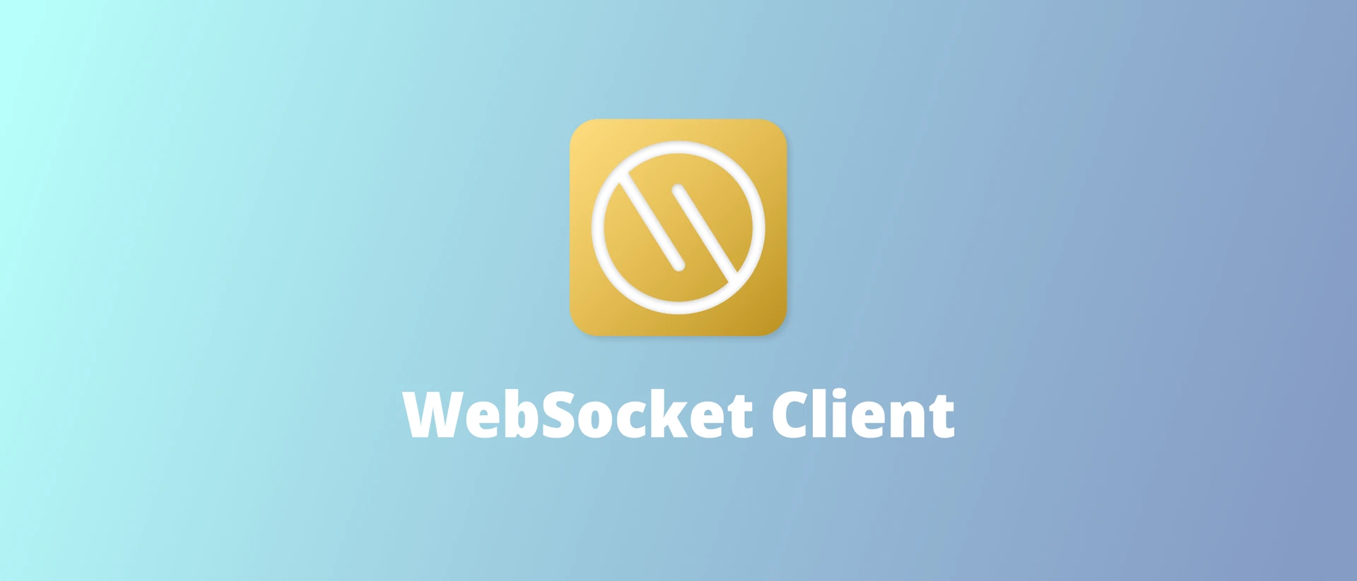 Simple WebSocket Client product page header
