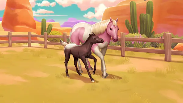 Introducing foals!