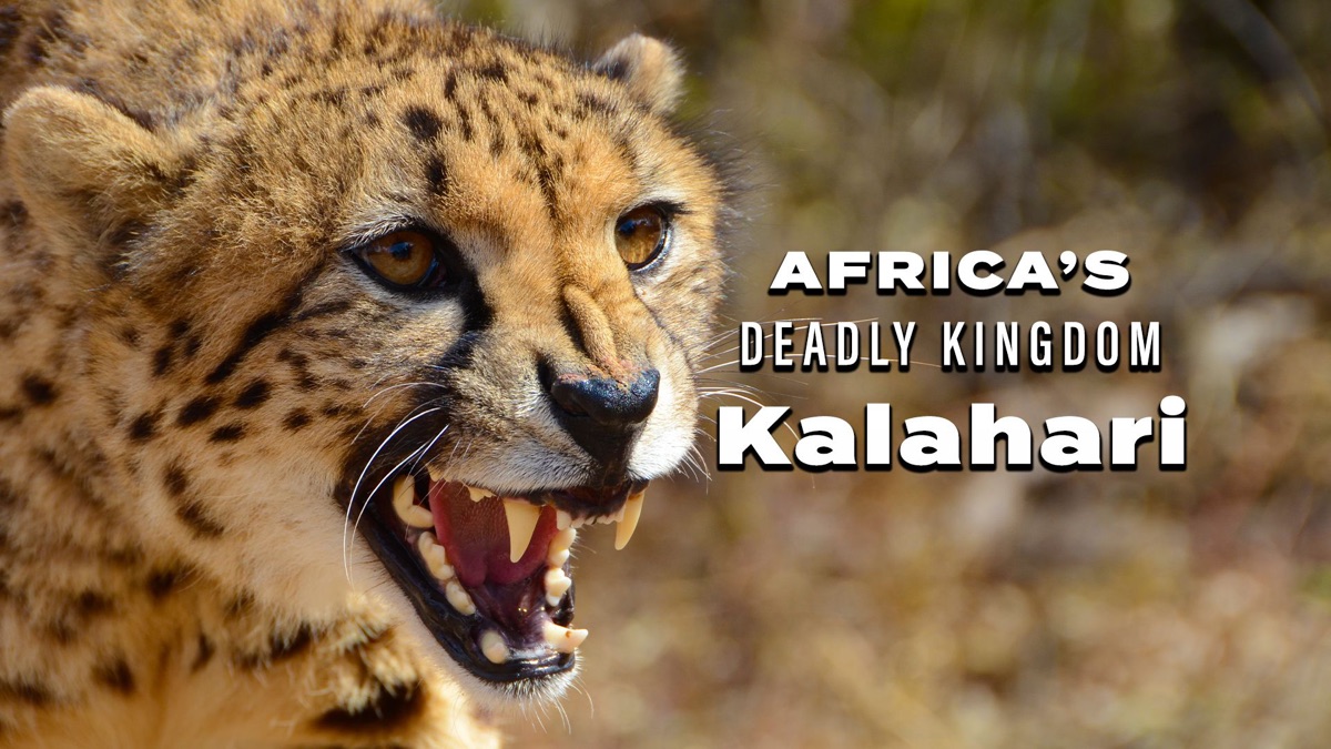 ‎Africa's Deadly Kingdom: Kalahari - Apple TV