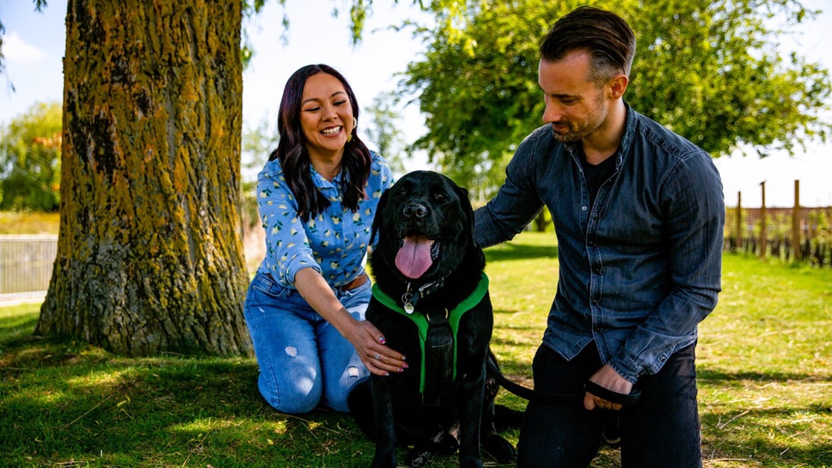 Series 6 Episode 5 The Dog House (Series 6, Episode 5) Apple TV (UK)