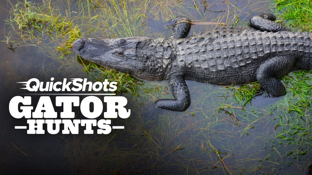Quick Shots Gator Hunts Apple TV